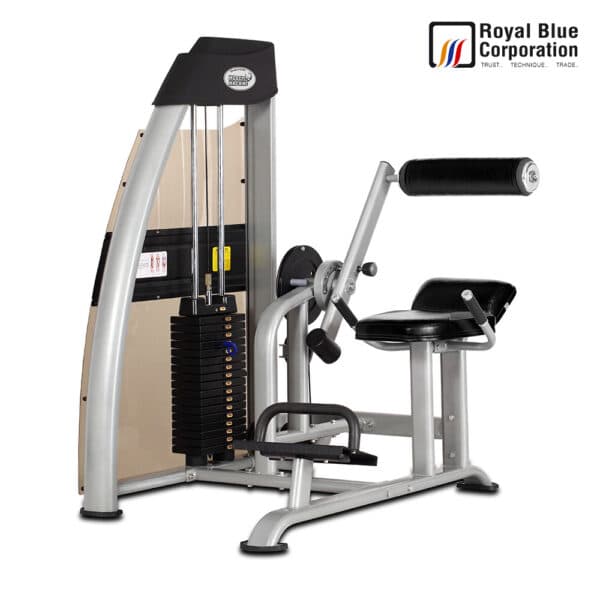 1742212166905_Back Extension Machine.jpg