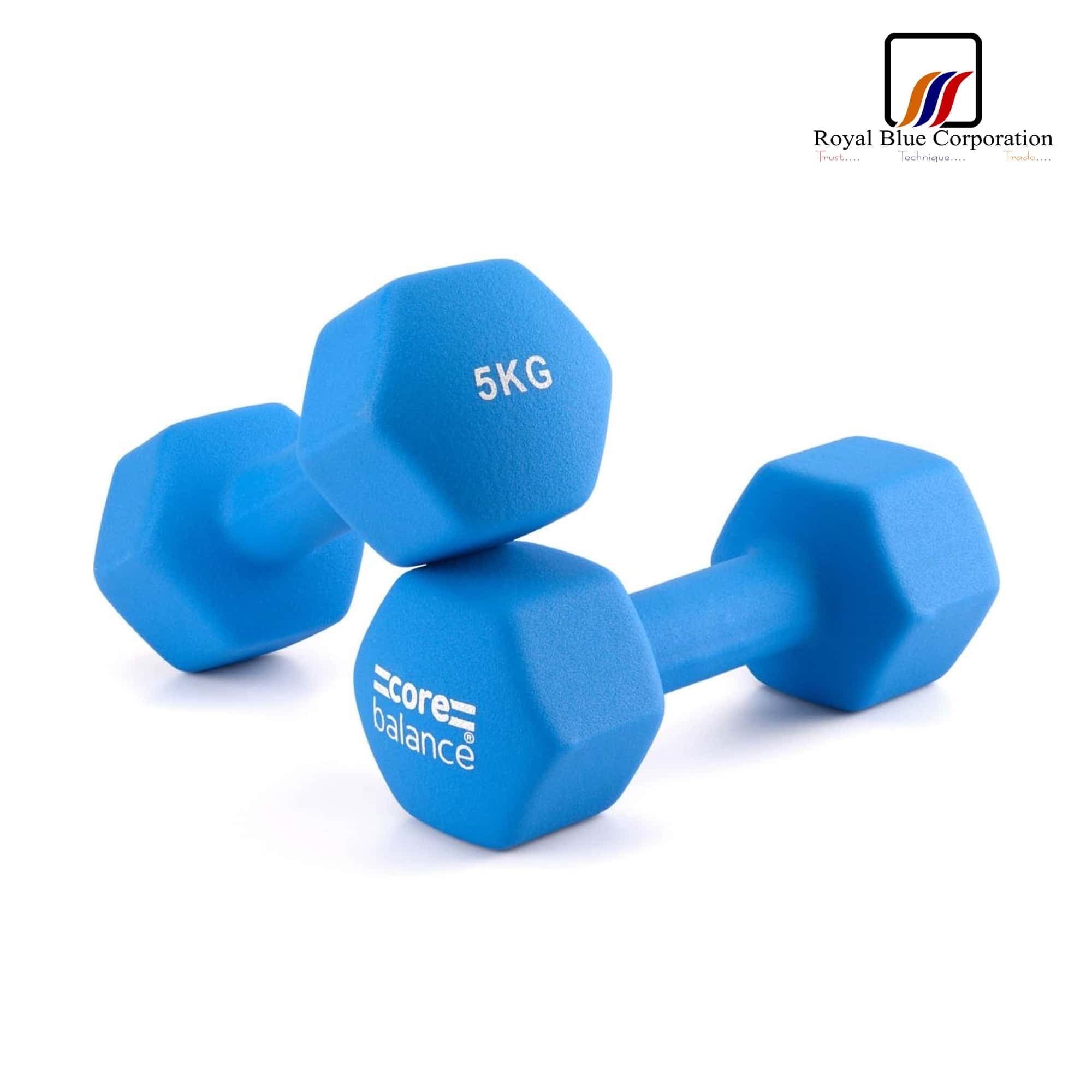 1742338663624_Vinyl Dumbbell (5Kg Pair).jpg
