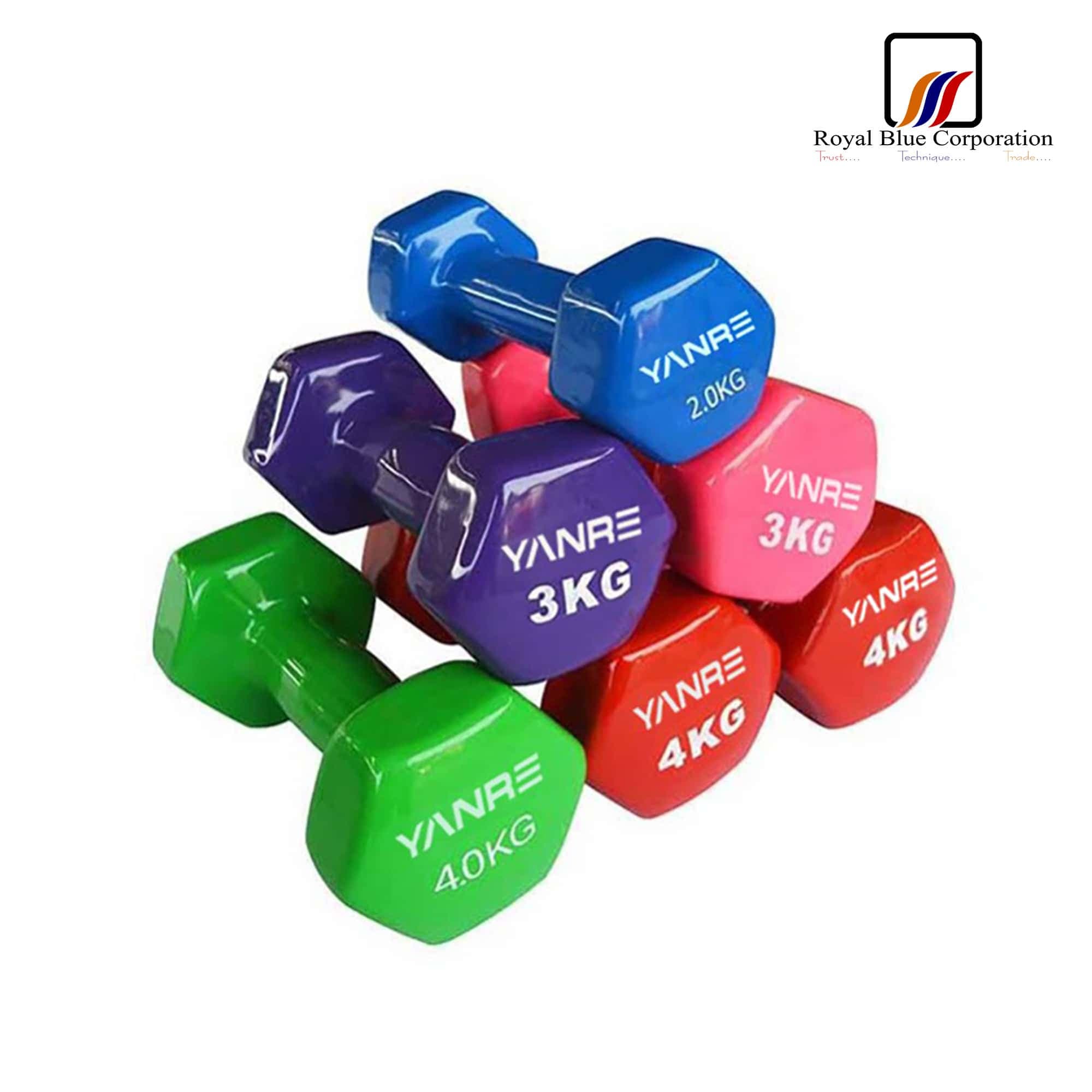 1742338686231_Vinyl Dumbbell (per kg).jpg